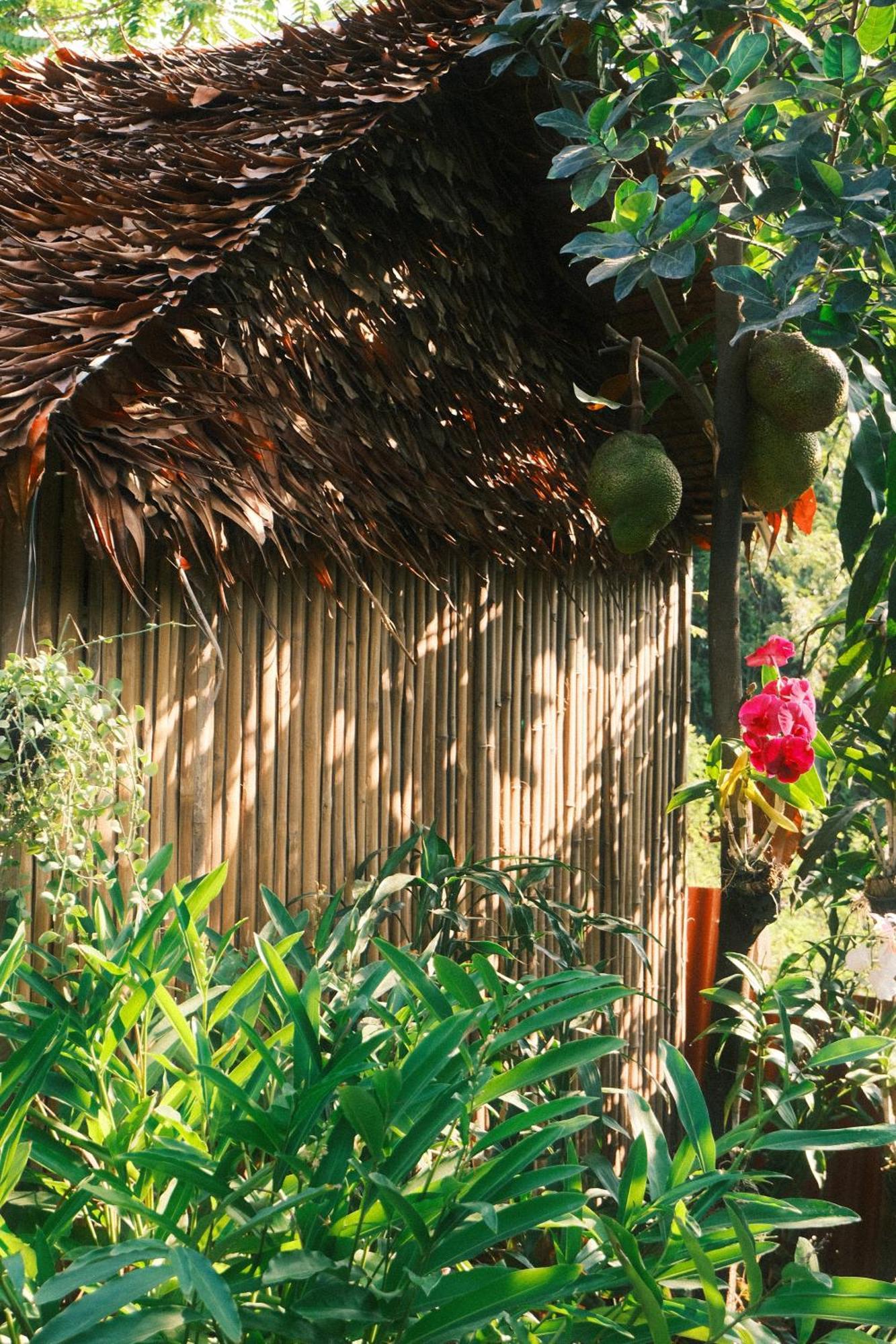 Siem Reap Homesteading II Екстериор снимка