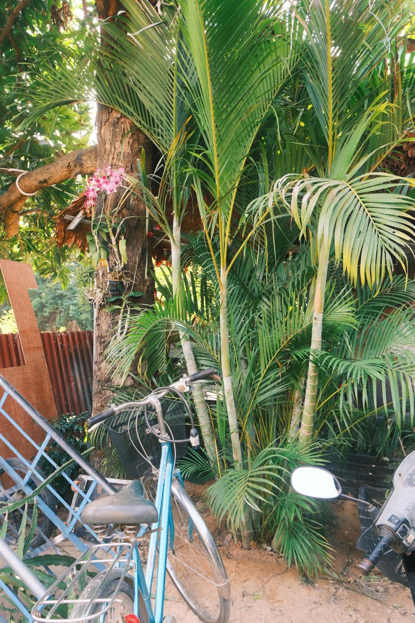 Siem Reap Homesteading II Екстериор снимка